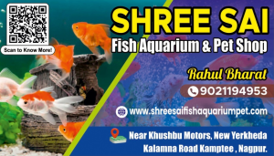 Visiting Card printing press services Near Khushbu Motors New Yerkheda Kalamna Road Kamptee, Nagpur Check sample for Fish Aquarium And Pet Shop 1